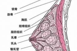冯丹滢的老公,冯丹滢的作品
