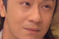 戴子翔的个人资料,戴子翔主演的电视剧