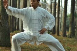 陈超个人资料,陈超太极拳