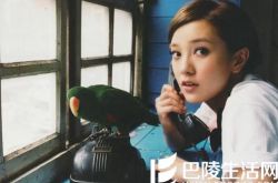 郭采洁杨佑宁分手了吗,郭采洁杨佑宁为什么分手