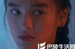 陈加玲简介,陈加玲出道几年