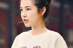 付曼背景揭秘,付曼《黑鸭子2》