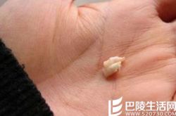 曹颖主持,曹颖复出