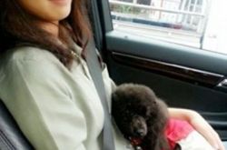 陈欣淇个人资料,陈欣琪花旦