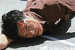 成奎安简介,成奎安得过的奖项