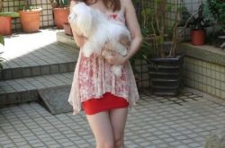 安程希资料,安程希照片