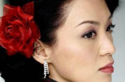 陈炜和梅艳芳照片,陈炜和梅艳芳对比照图片