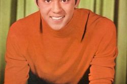 狄龙早期出演的电影,狄龙获奖