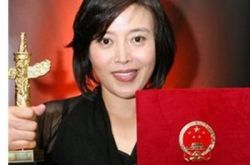 丁嘉丽获得最佳女演员,丁嘉丽演过的电视剧