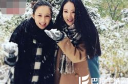 董璇和佟丽娅什么关系,董璇和佟丽娅长得好像