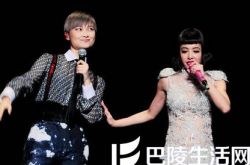 李宇春蔡依林合作,李宇春蔡依林关系