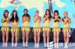 AOA组合简介,AOA组合参加综艺