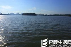 包贝尔包文婧结婚,包贝尔婚礼伴娘