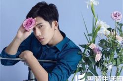 井柏然的简介,井柏然的演艺经历