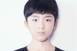 TF家族实习生刘宏志 刘宏志出道经历