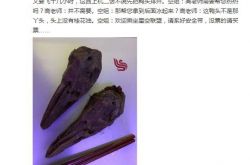 高晓松发微博死守鸭头 吃一堑长一智躲空姐套路