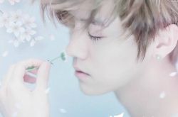 鹿晗怒斥黄牛 鹿晗回国后现状