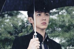 金马奖周冬雨马思纯双双入围影后 柯震东首次提名影帝