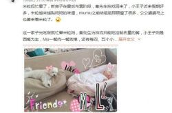 伊能静成家庭主妇 晒女儿熟睡照分享二胎时代