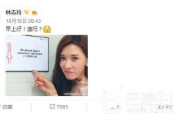 小S和林志玲两人有何恩怨 小S为什么讨厌林志玲