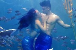 钟丽缇和张伦硕向好友发送婚礼请帖 钟丽缇和张伦硕的另类结婚照