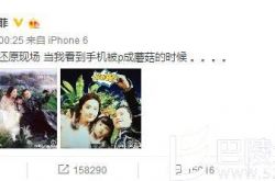 画质成谜 刘亦菲晒与杨洋自拍让网友直呼“蓝瘦”