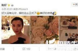 依旧是万人迷 陈好罕见晒自拍依然高颜值