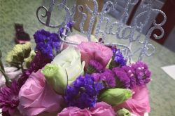 小葡萄长大了 小葡萄现在的照片