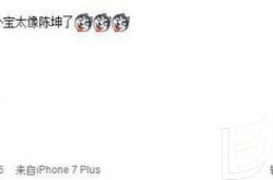 打开的方式不对 陈坤素颜撞脸宋小宝