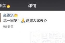 朋友圈做出回应 林丹出轨对象赵雅淇疑发声