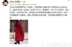 李思思承认怀二胎 疑将退出鸡年春晚：放下工作