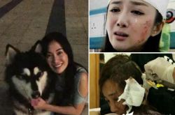 李依晓缺席名誉权案审判 叶璇宠物狗赢官司