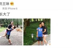 王琳为什么被骂 王琳回应骂人事件