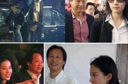 杨采钰承认与刘亦菲干爹恋情 陈金飞背景惊人