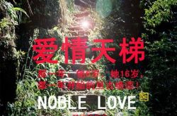 爱情天梯是真的吗？爱情天梯电影影评