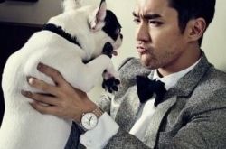 崔始源斗牛犬咬死邻居 公开女友照片后与刘雯分手