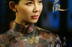 红蔷薇肖成碧结局是什么？