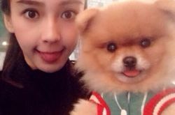 杨颖身家多少？年收入过亿自己经济独立