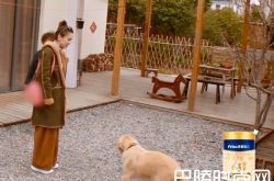 黄圣依的包包为什么打马赛克？奶奶炫富财力惊人