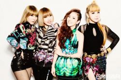 2ne1为什么解散？2ne1是由于什么原因才解散的