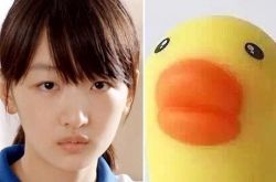 撞脸动物的8明星 吴谨言激似吉娃娃