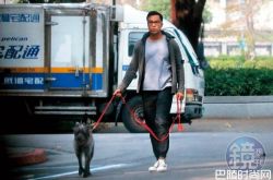 张孝全被抓包传情 2016年就同居美腿老婆