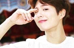 朴宝剑哪里毕业的，英文为什么这么好