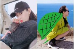 第一届P茜大赛怎么回事 宋茜请P图互相伤害