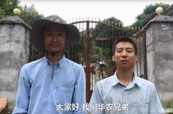 b站为什么要捧华农兄弟？直播吃竹鼠吃出一片天