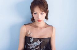 蓝盈莹是富二代吗 一言不合继承遗产是怎么回事