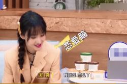 郑爽恋爱脑什么意思？