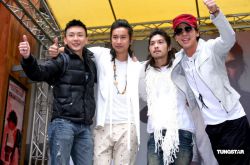 浪花兄弟为什么不红 大树底下真的好乘凉吗