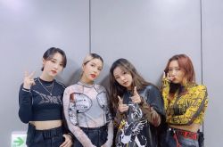 华莎种族歧视 MAMAMOO涂黑脸再被翻出