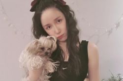 娄艺潇的脸整容了吗？整容脸令人深思